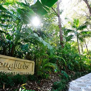 Songbirds Rainforest Retreat Villa Mount Tamborine